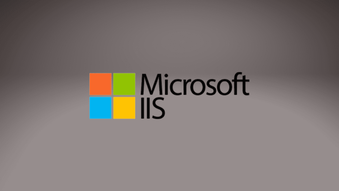20230607082902_Microsoft-IIS.png
